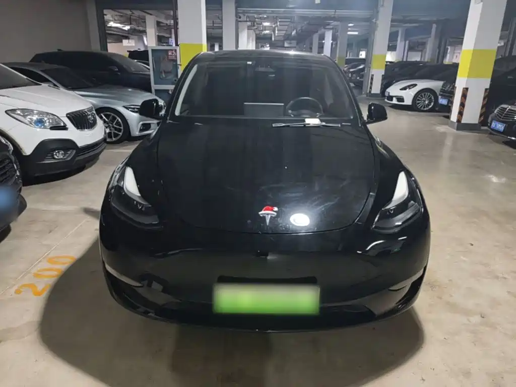 Tesla Model Y — миниатюра 3