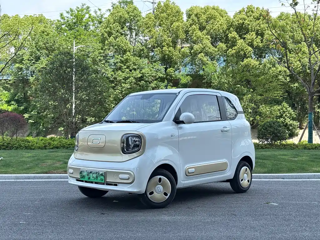 BESTUNE PENTIUM PONY