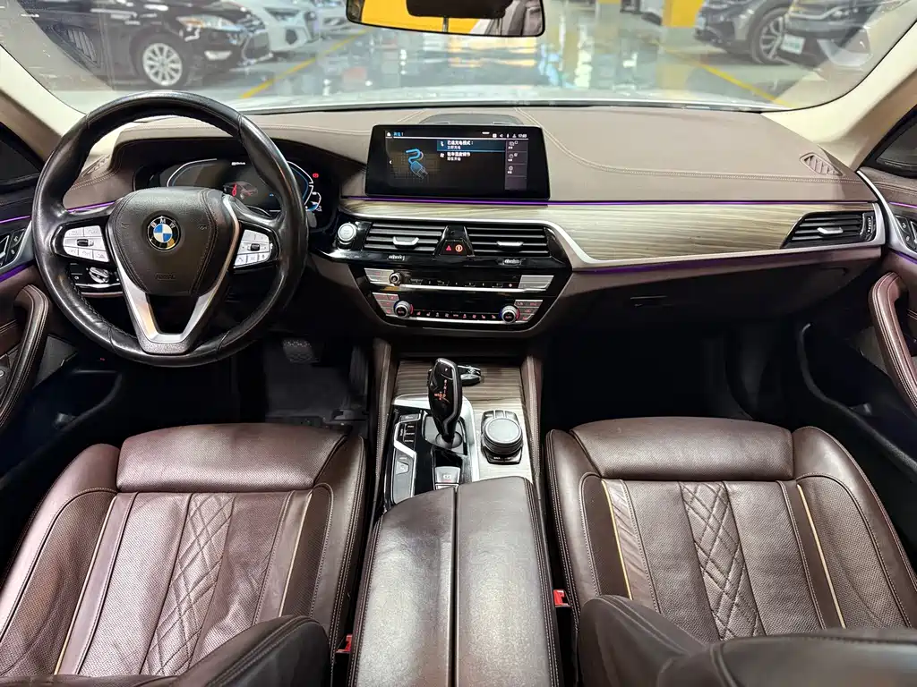 BMW 5 SERIES NEW ENERGY