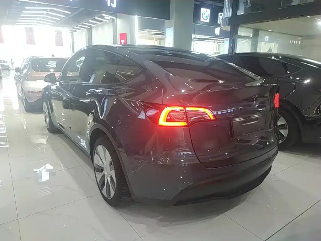 Tesla Model Y — миниатюра 5