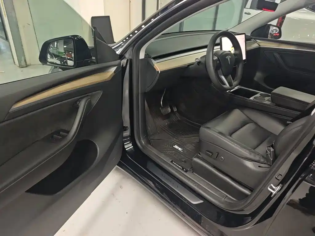 Tesla Model Y — миниатюра 16
