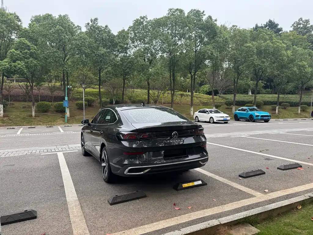 Volkswagen Lamando — миниатюра 7