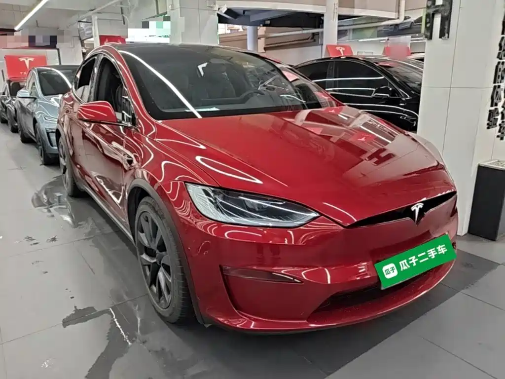 Tesla Model X — миниатюра 4