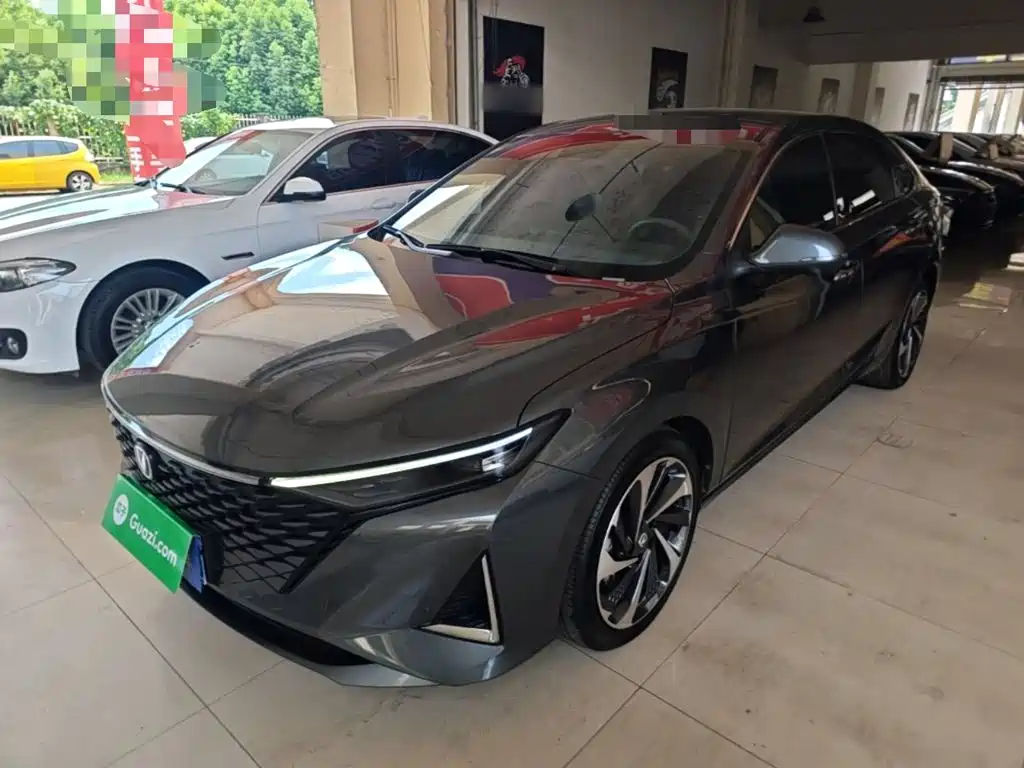 Changan Ruicheng PLUS — миниатюра 2