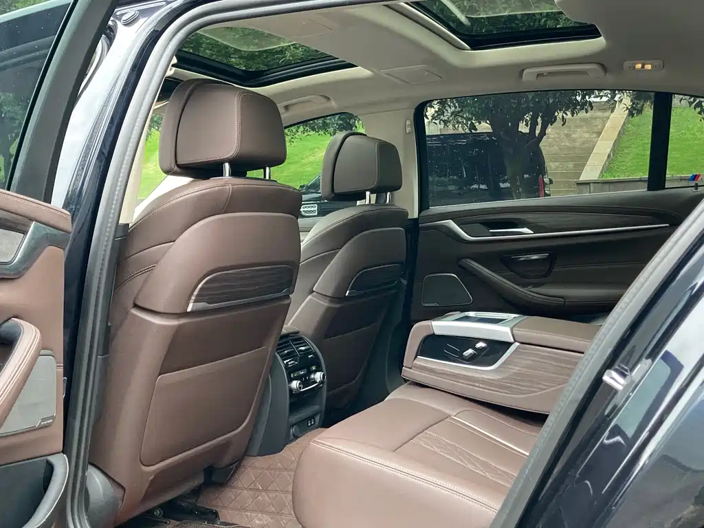 BMW 5 Series 5 2021 530Li Premium Luxury