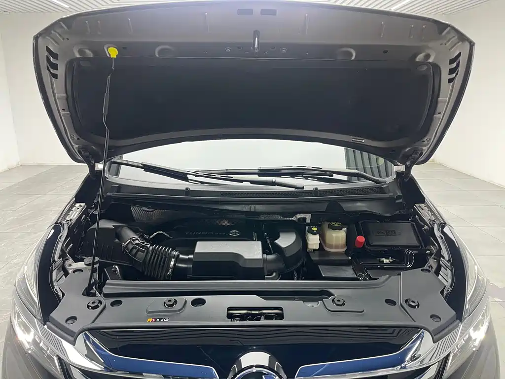 Buick GL8 — миниатюра 9