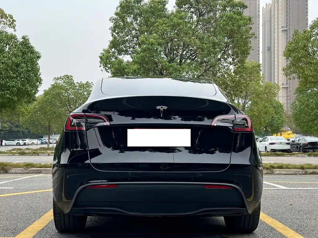 Tesla Model Y — фотографии объявления, Фото 15