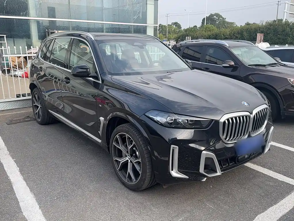 BMW X5 — миниатюра 4