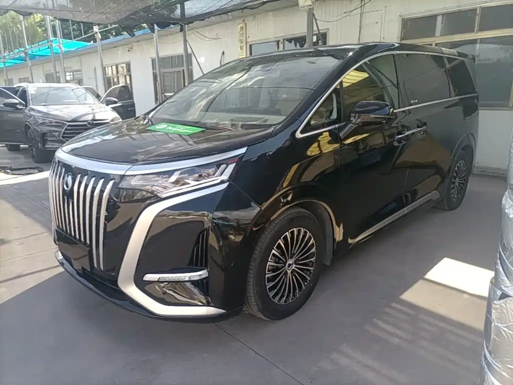 Denza Denza D9 — миниатюра 2