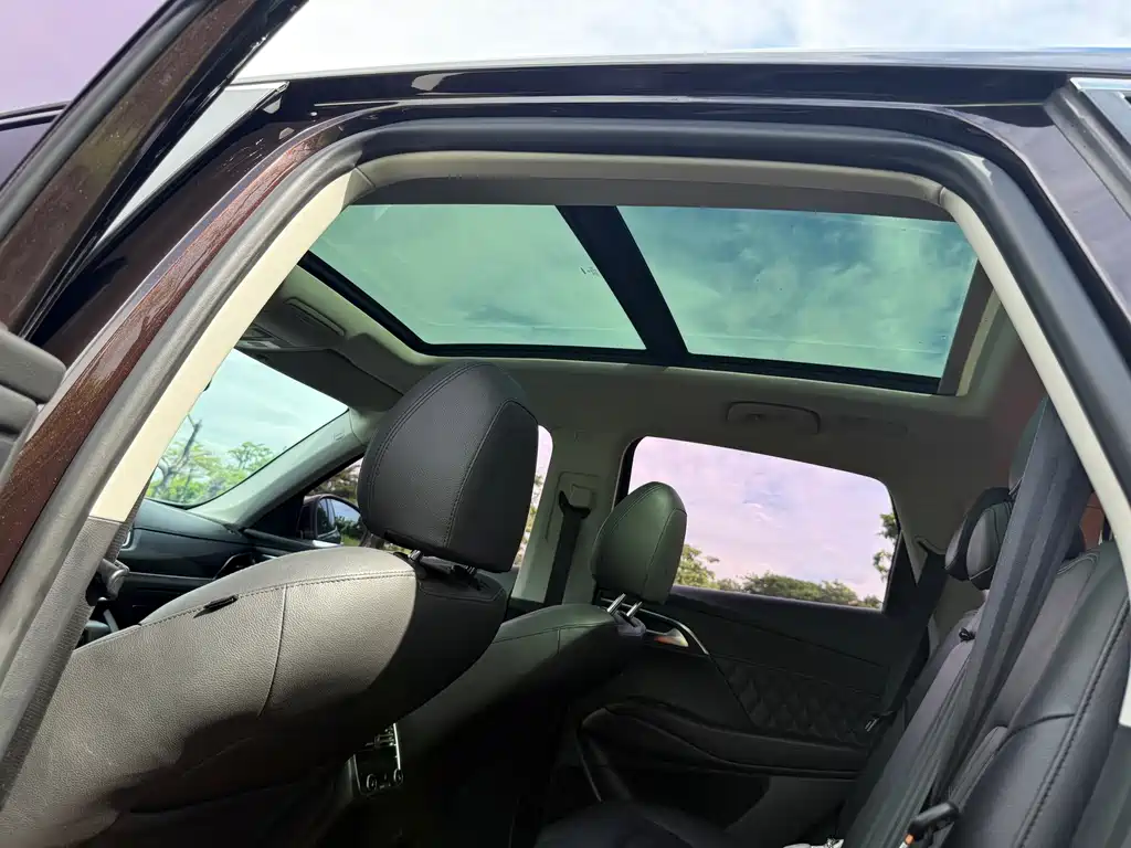 Borgward BX7 — миниатюра 13