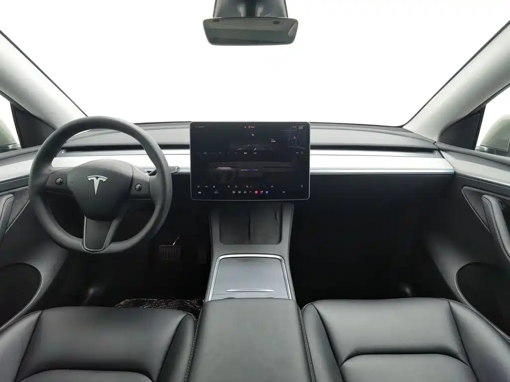 Tesla Model Y — миниатюра 5
