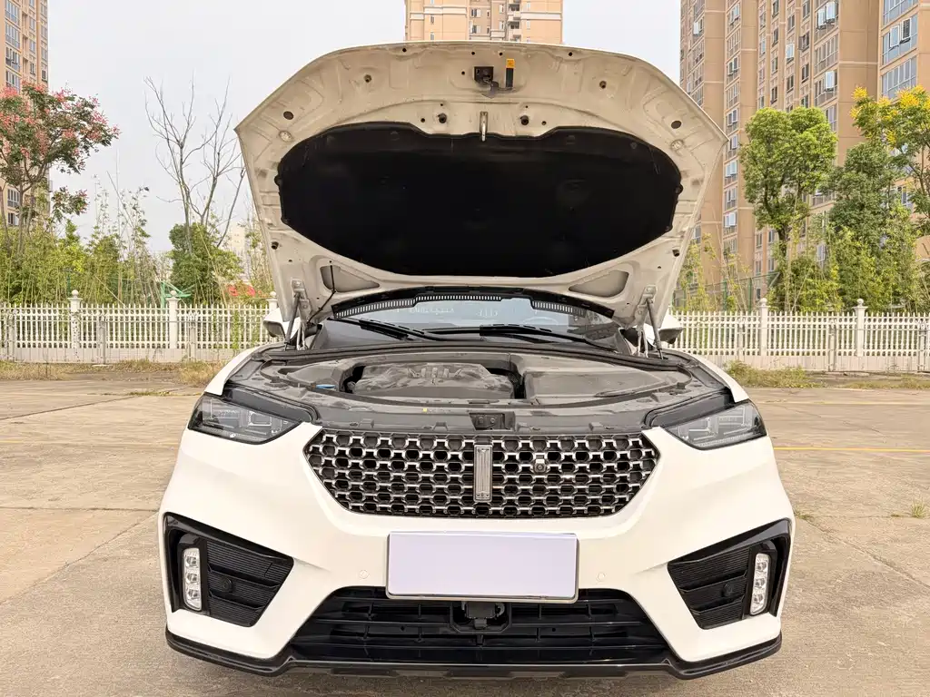 Wey Wey VV7 — миниатюра 10