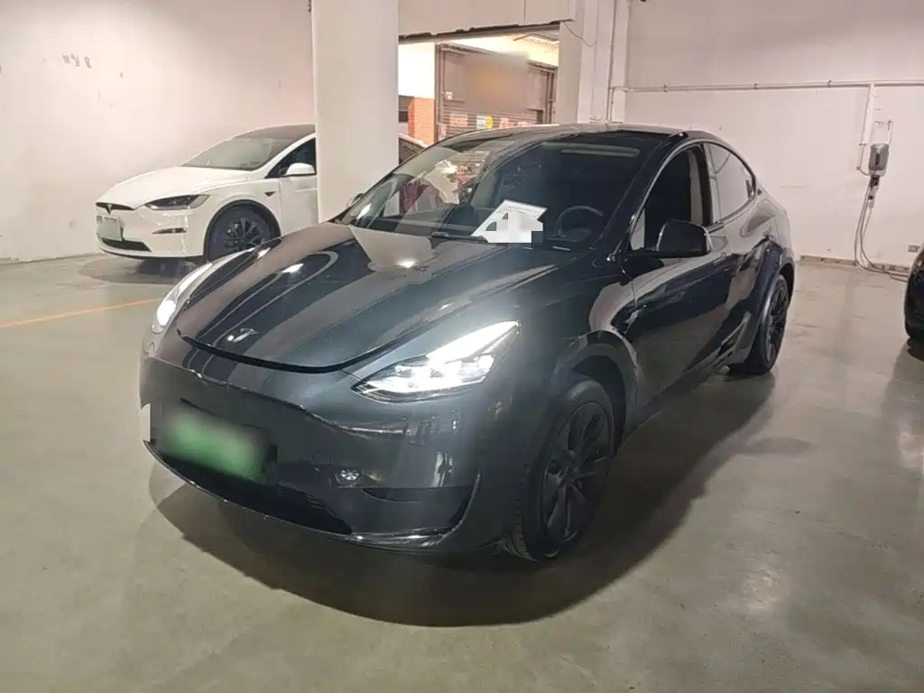 Tesla Model Y — миниатюра 2