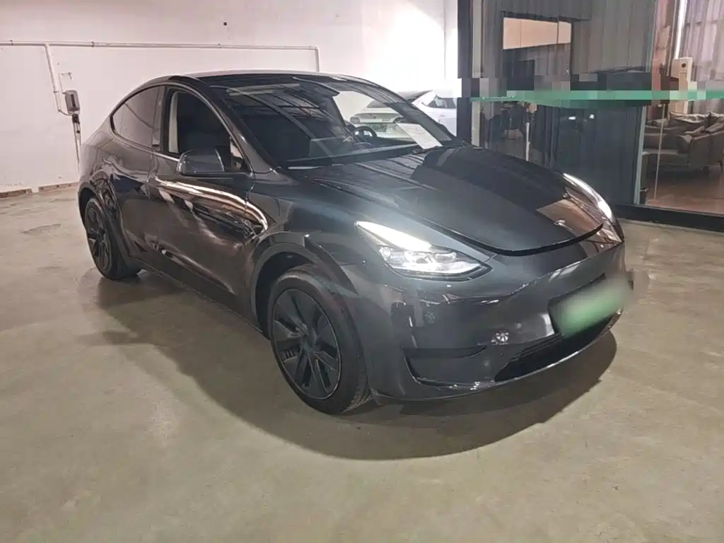Tesla Model Y — миниатюра 4