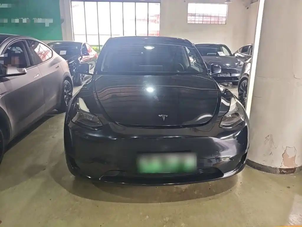 Tesla Model Y — миниатюра 3