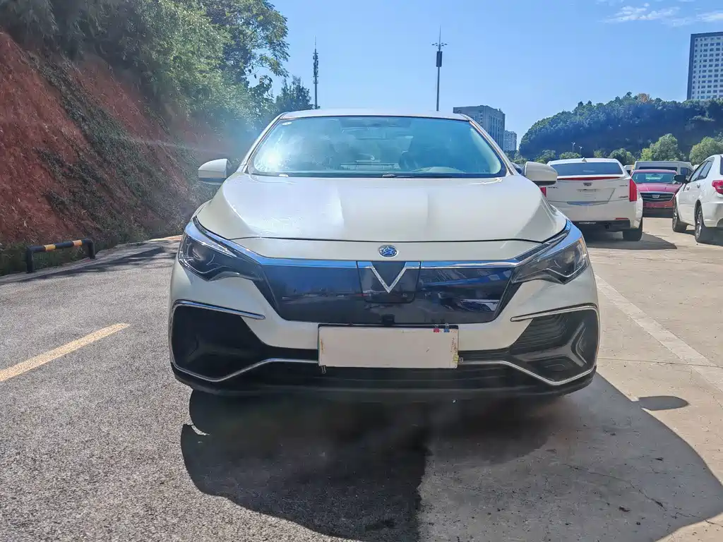 Venucia D60 EV — миниатюра 2