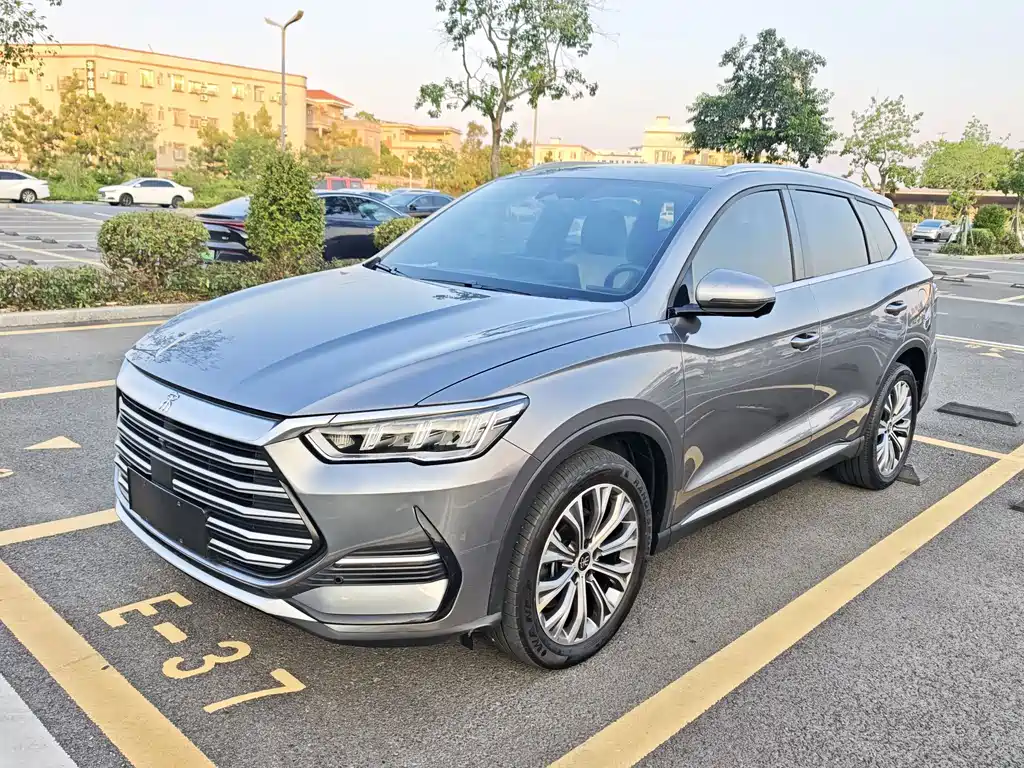 BYD Pro New Energy