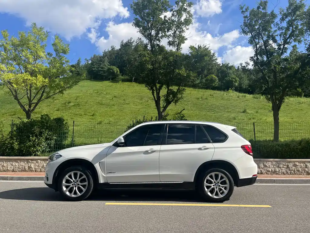 BMW X5 (Import) — миниатюра 7