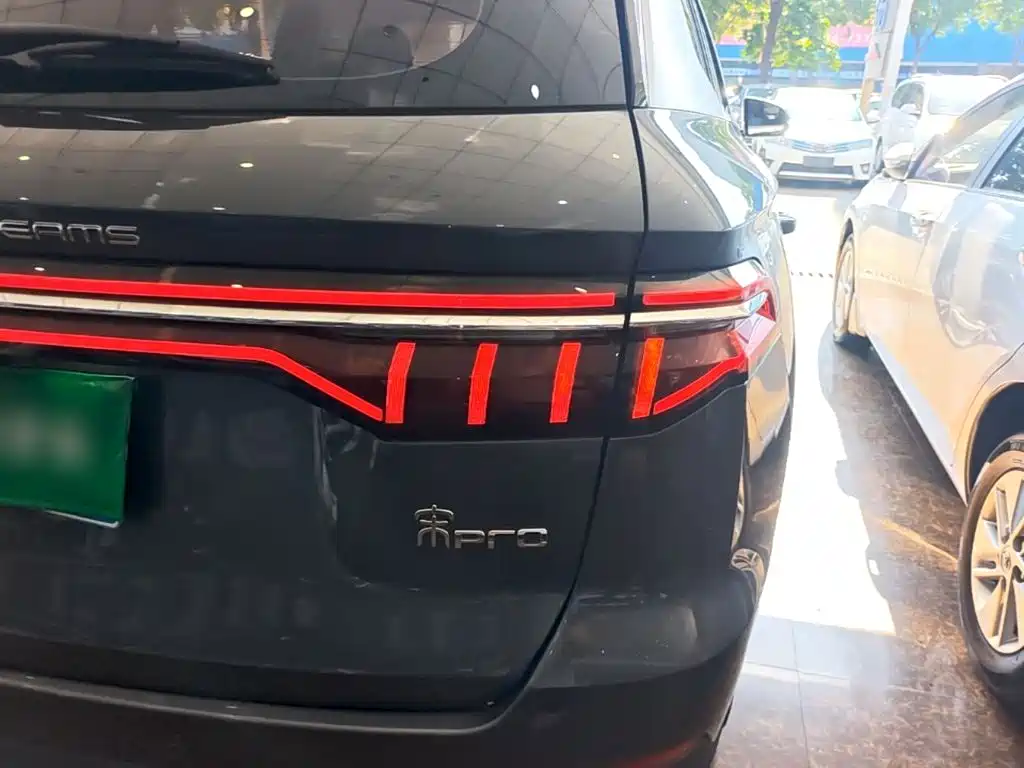 BYD Pro — миниатюра 8