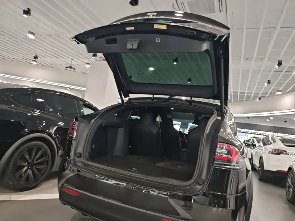 Tesla Model X — миниатюра 19