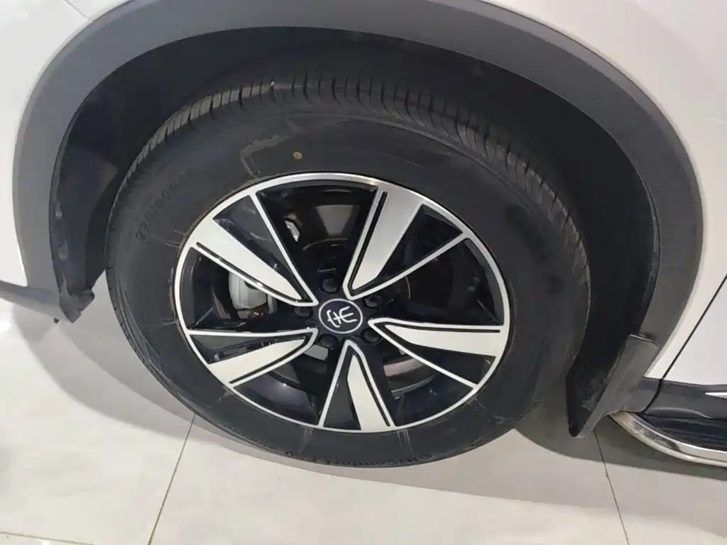 BYD Pro New Energy — миниатюра 23