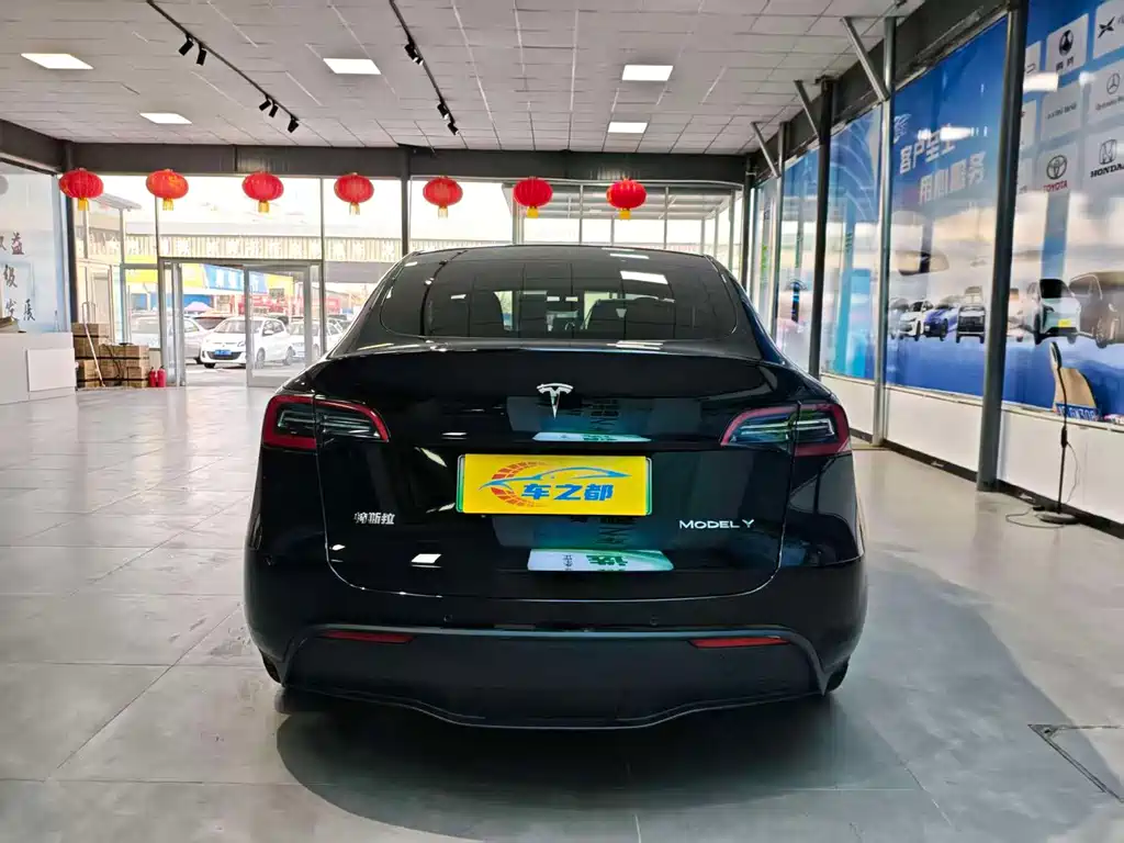 Tesla Model Y — миниатюра 8