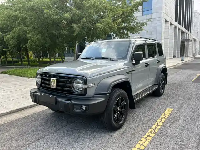 2021 TANK 300