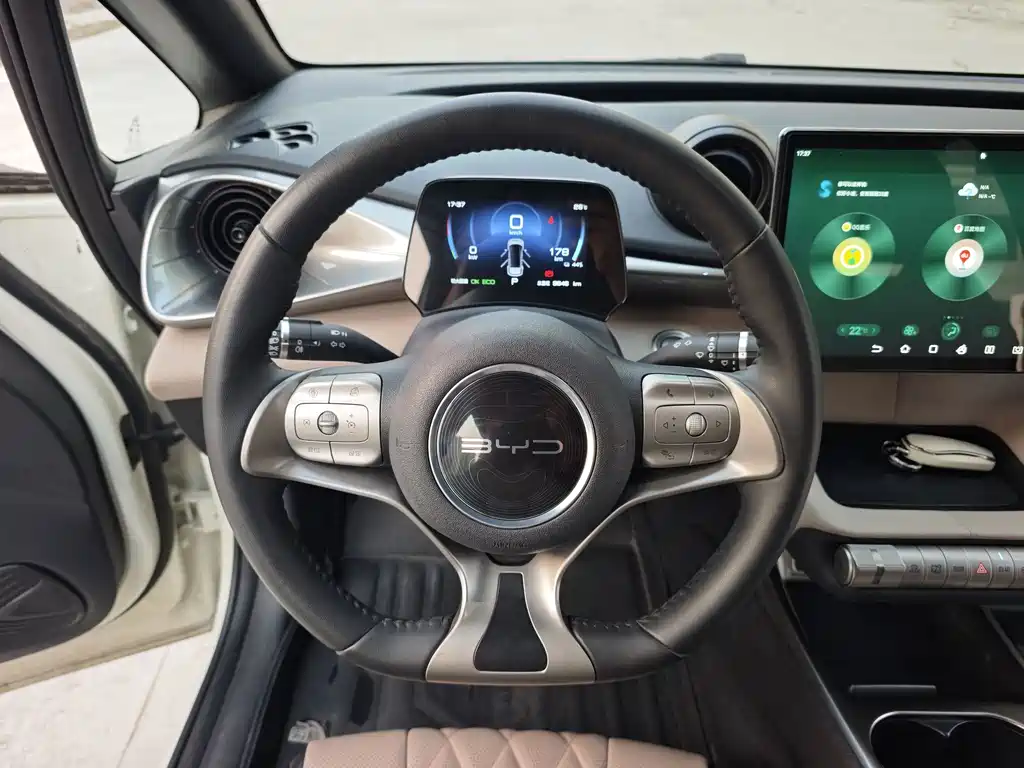 BYD Dolphin — миниатюра 11