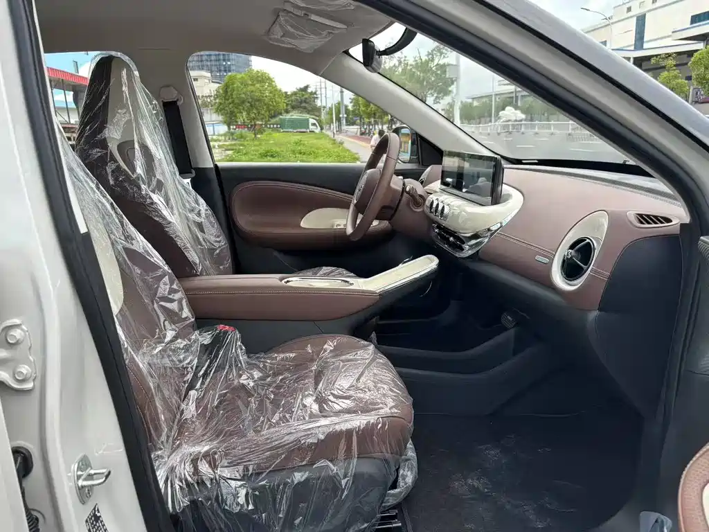 Wuling Binguo 2025 333km