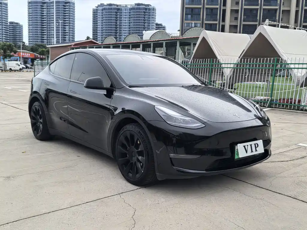 Tesla Model Y — миниатюра 4