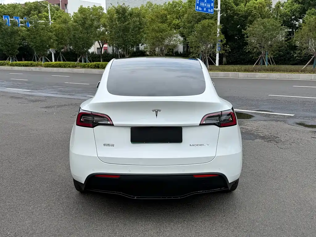 Tesla Model Y — миниатюра 4