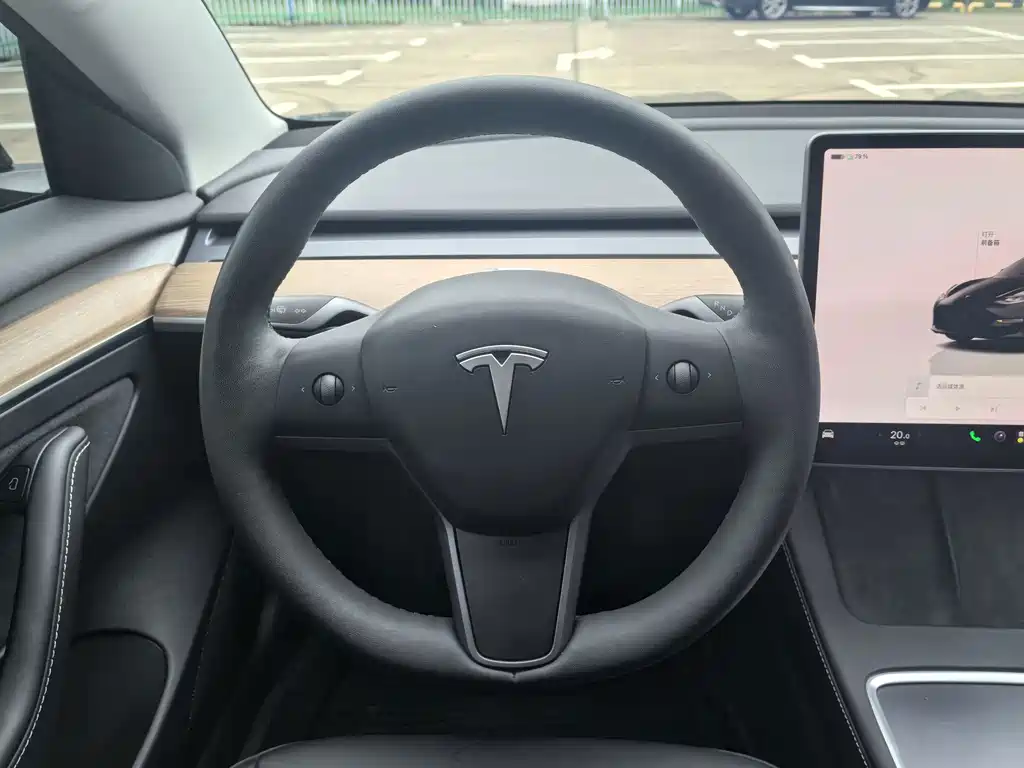 Tesla Model 3 — миниатюра 17