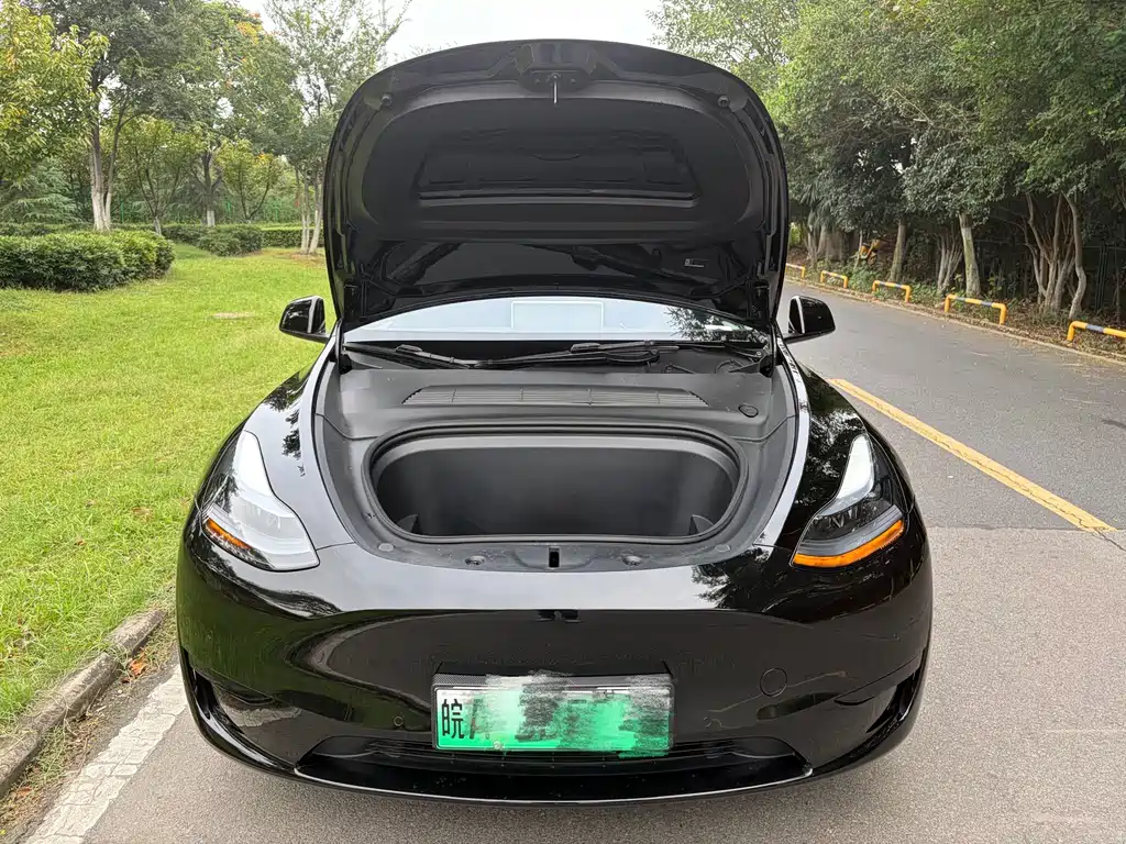 Tesla Model Y — миниатюра 12