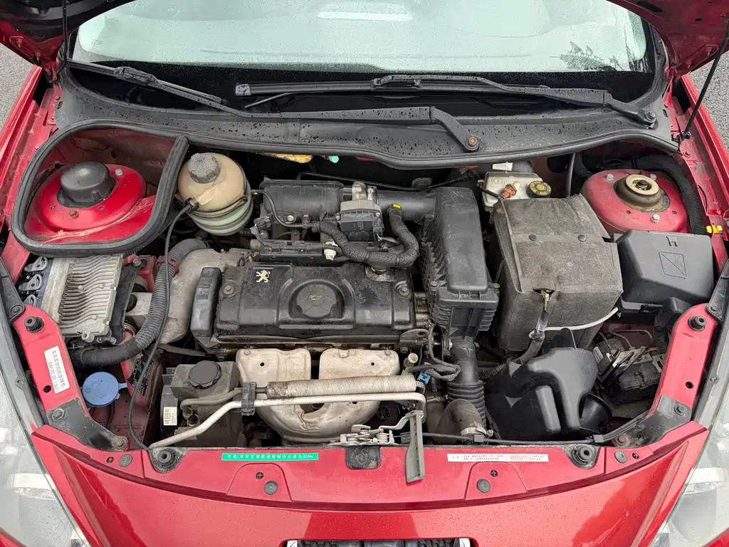 Peugeot 207 — миниатюра 9