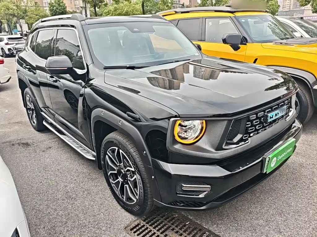 Haval Big Dog PLUS New Energy — миниатюра 4