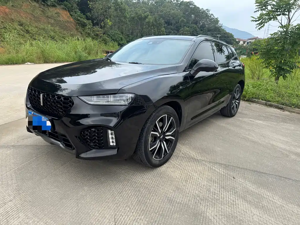 Wey Wey VV7