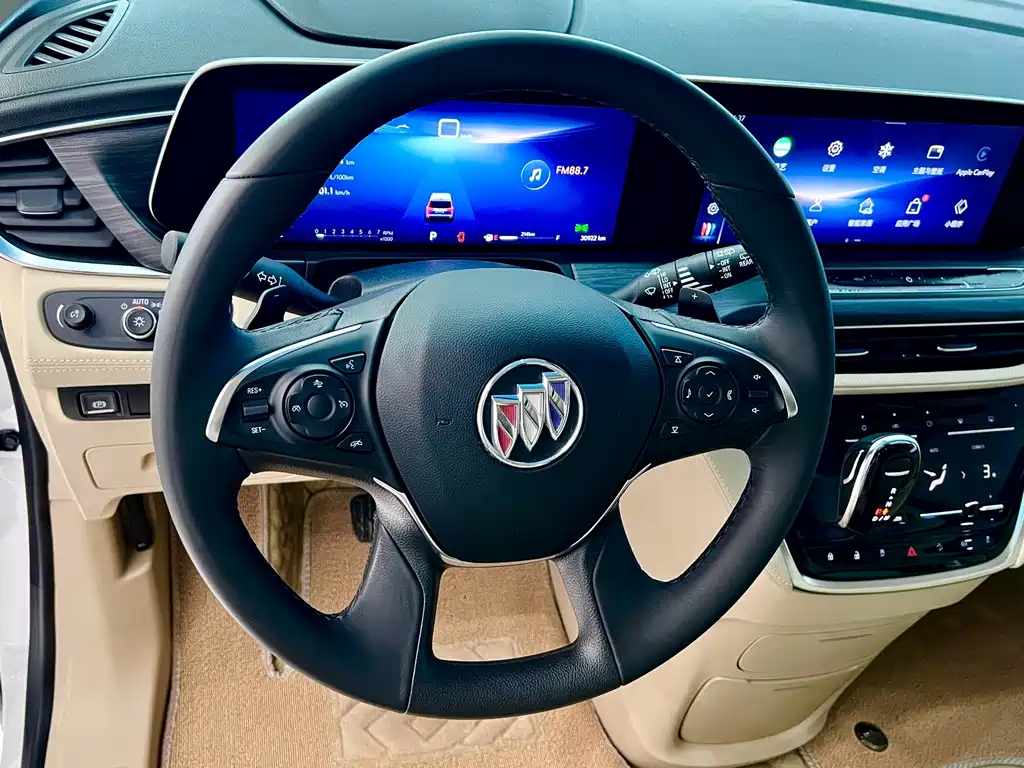 Buick GL8 — миниатюра 14