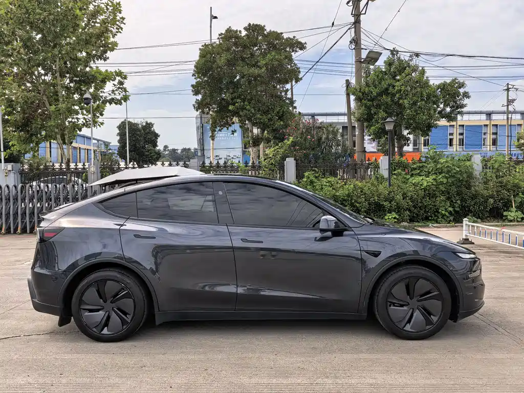 Tesla Model Y — миниатюра 3