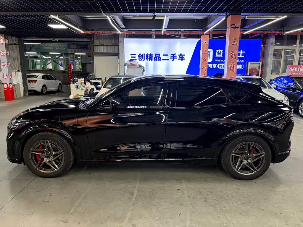Ford Mustang Mach-E — миниатюра 8