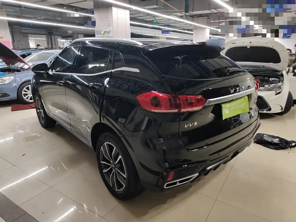 Wey Wey VV5 — миниатюра 5