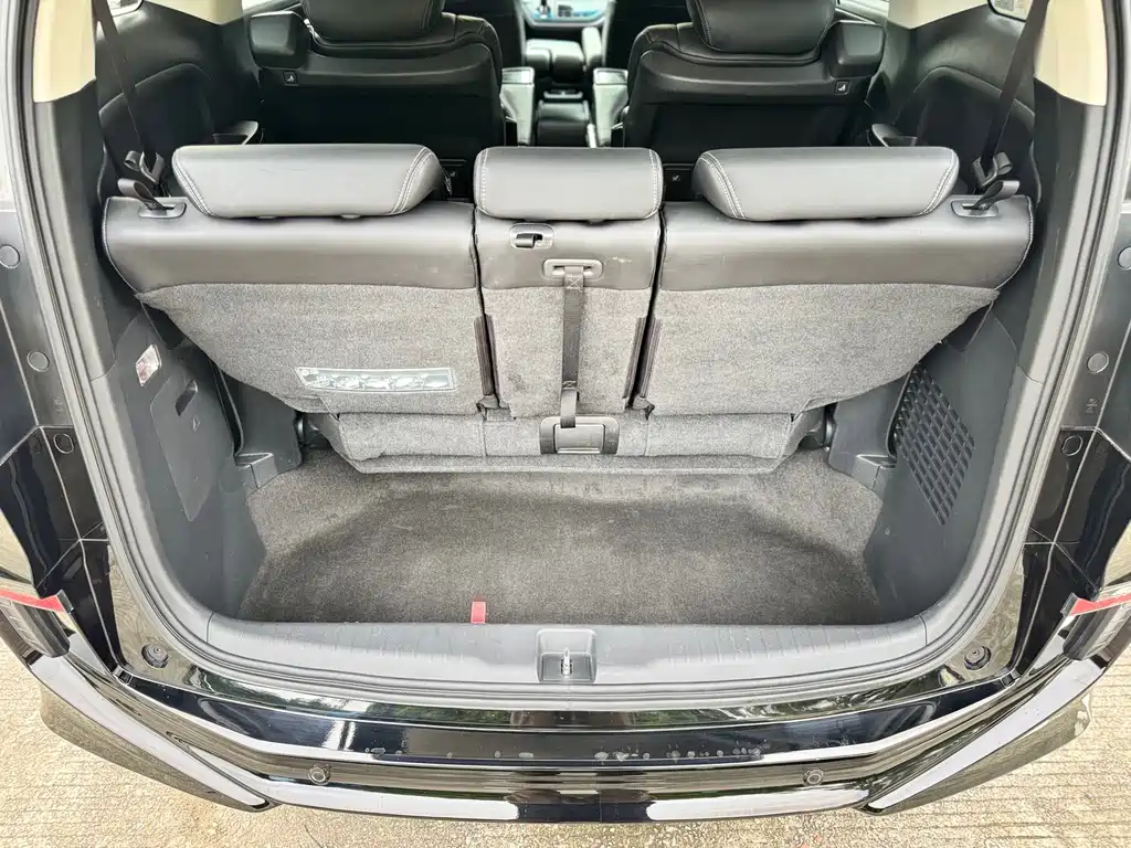 Honda Elysion — миниатюра 27