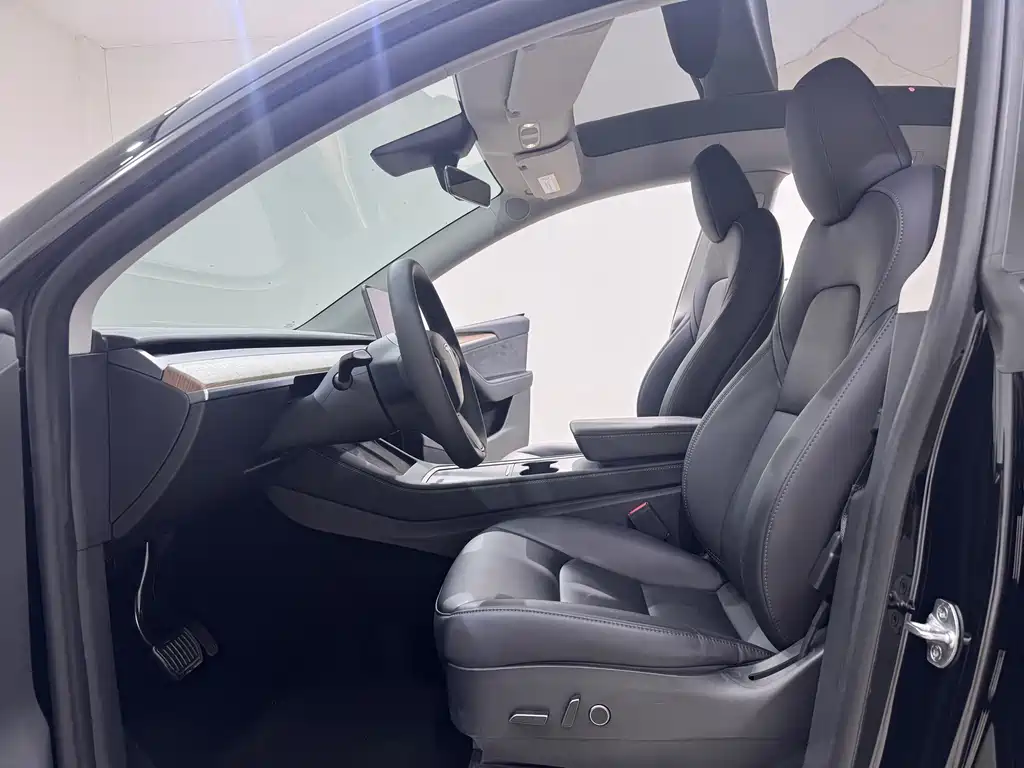 Tesla Model Y — миниатюра 7