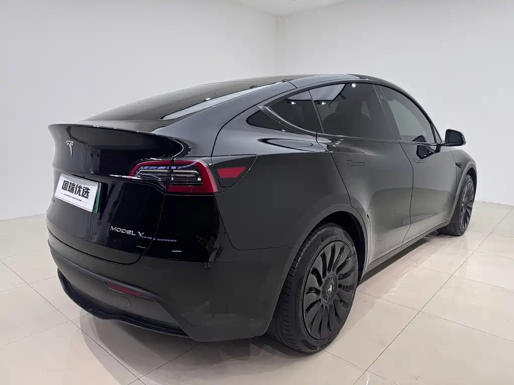 Tesla Model Y — миниатюра 4