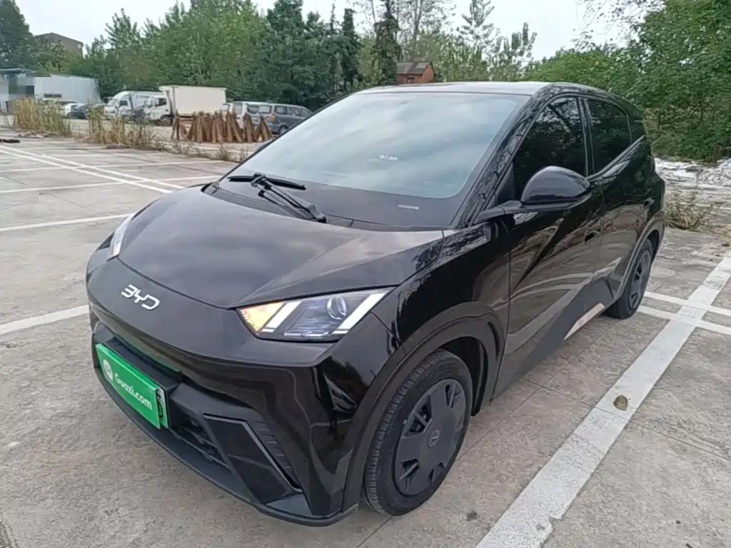 BYD Seagull