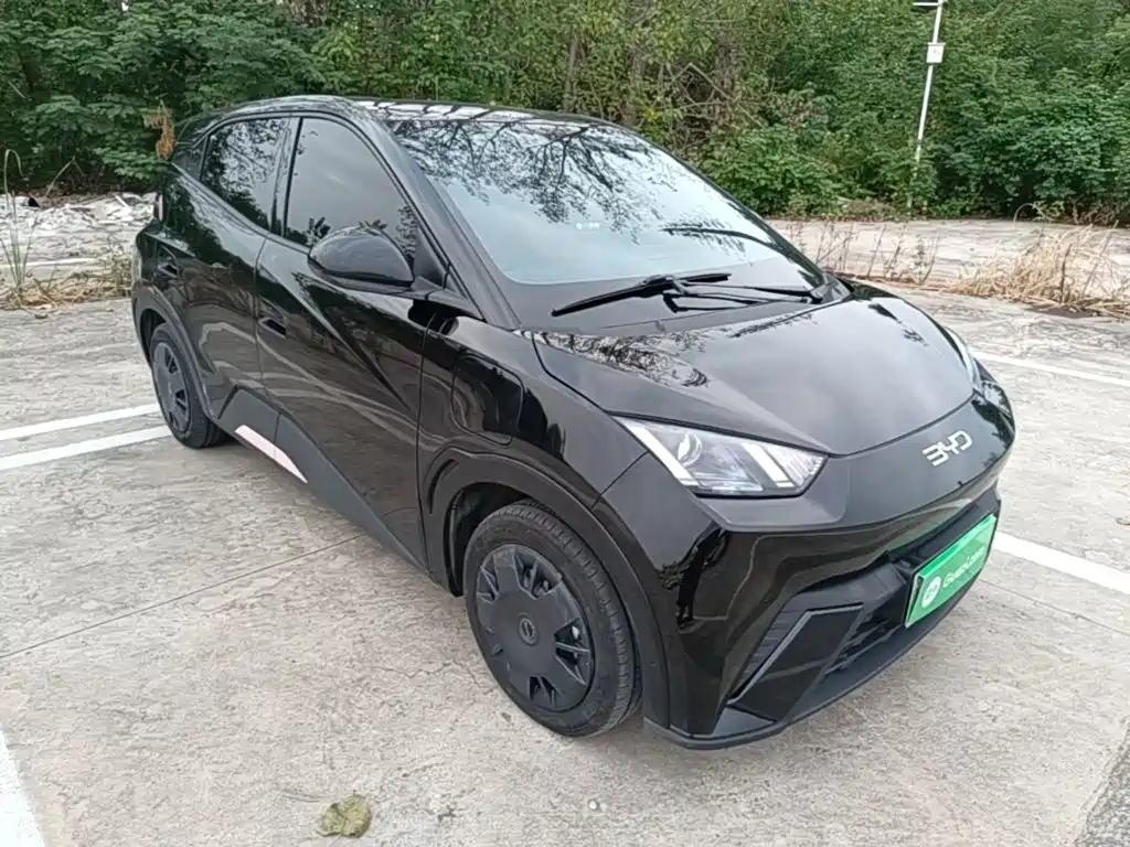 BYD Seagull — миниатюра 4