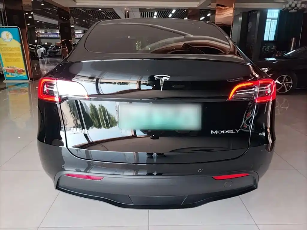 Tesla Model Y — миниатюра 6