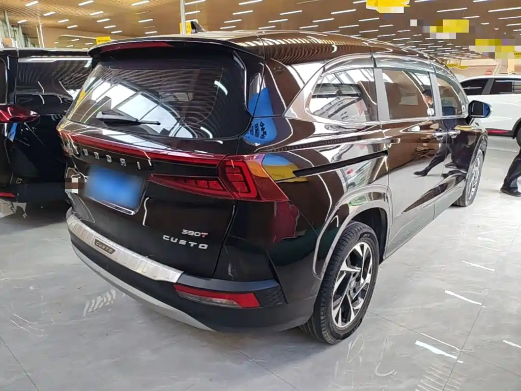 Hyundai Custo — миниатюра 7