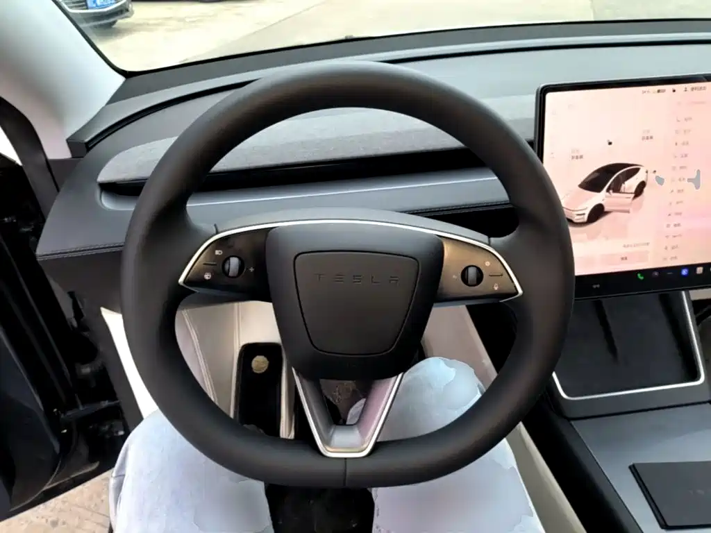 Tesla Model Y — миниатюра 11