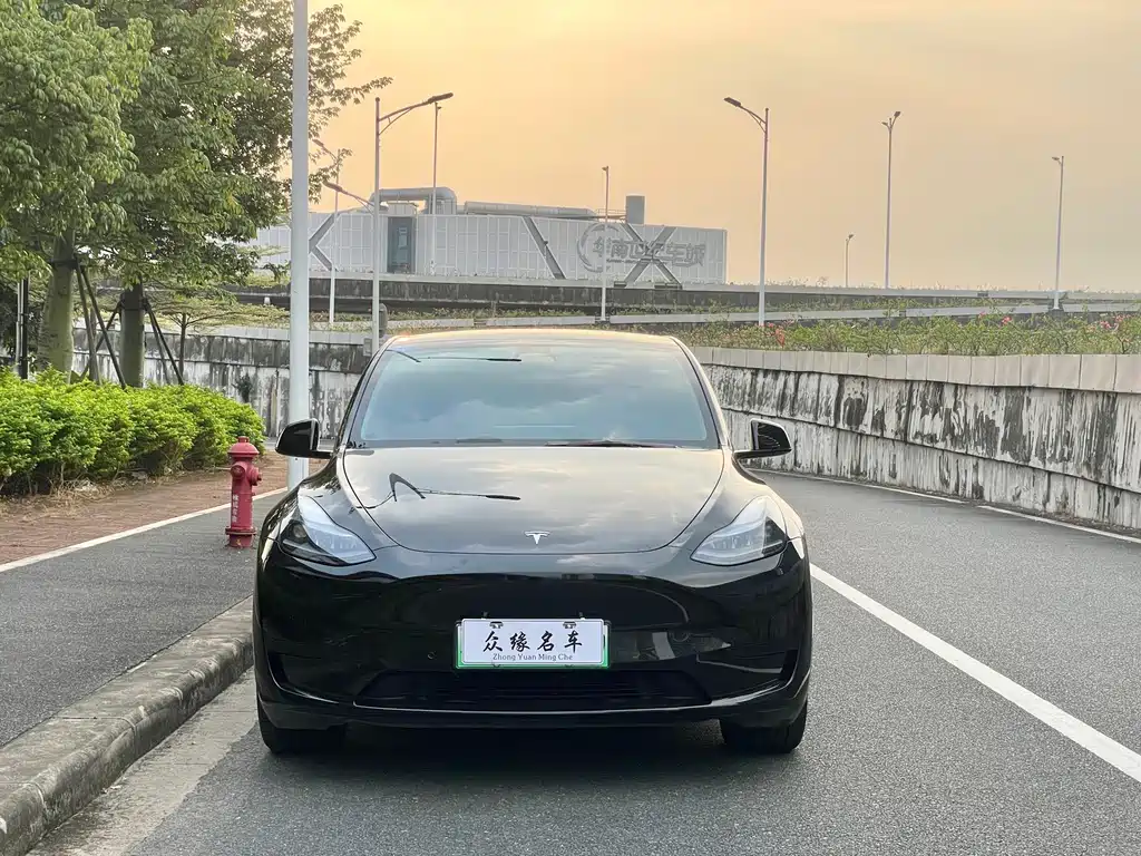 Tesla Model Y — миниатюра 2