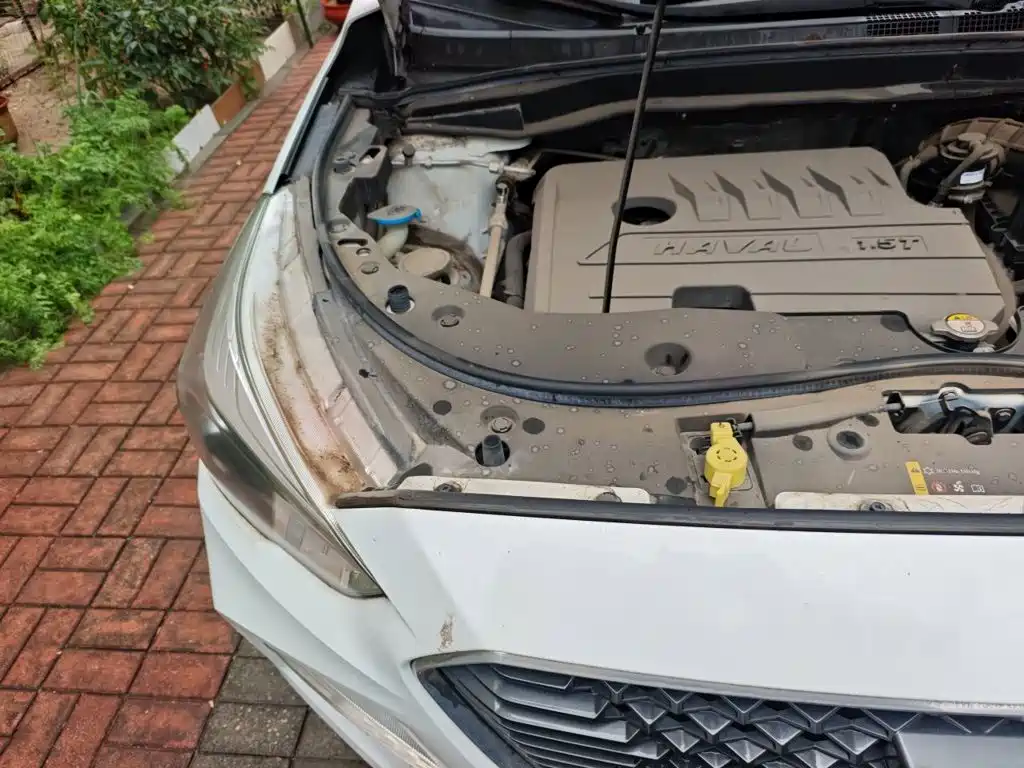 Haval M6 — миниатюра 20